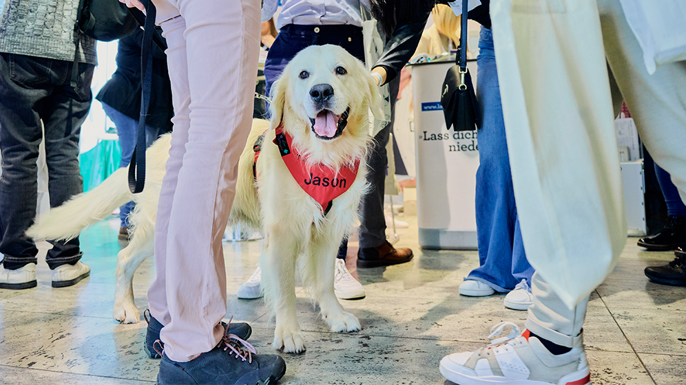 Kinder- und Jugendpsychiatrie Therapiehund Jason