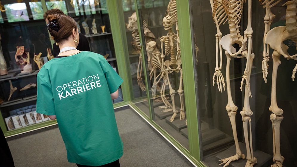 Operation Karriere Hamburg 2024